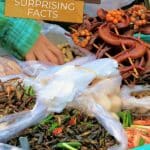 Cambodian Cuisine by Authentic Food Quest