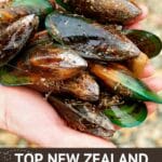 New Zealand Food Culture by Authentic Food Quest
