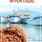 Best Cooking Vacations in Portugal by Authentic Food Quest