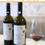 Authentic Food Quest Athens Wine Tasting Guide