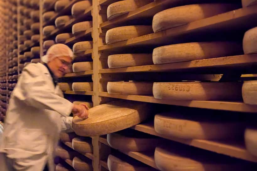 Afternoon Visit Cellars by Authentic Food Quest