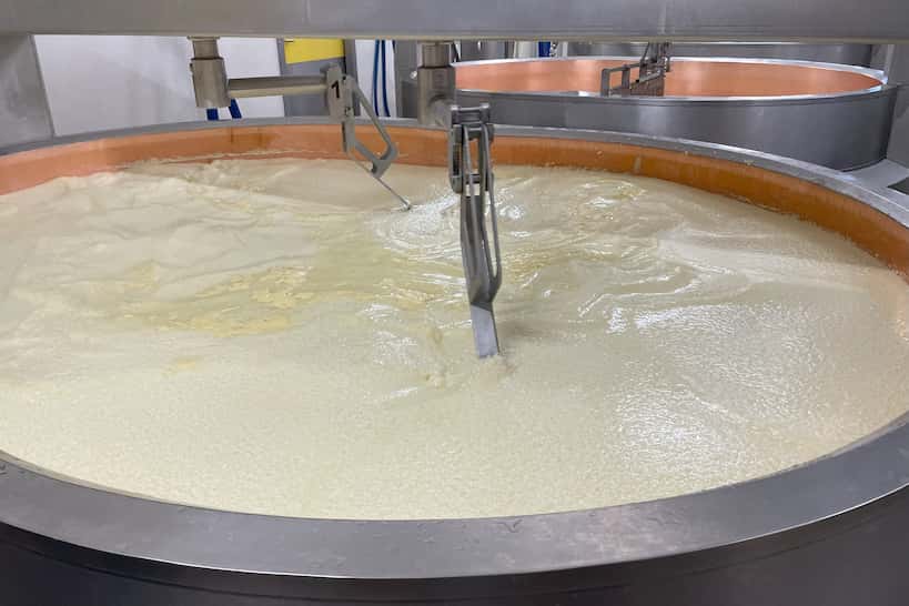 Cheesemaking Local Fruitiere by Authentic Food Quest