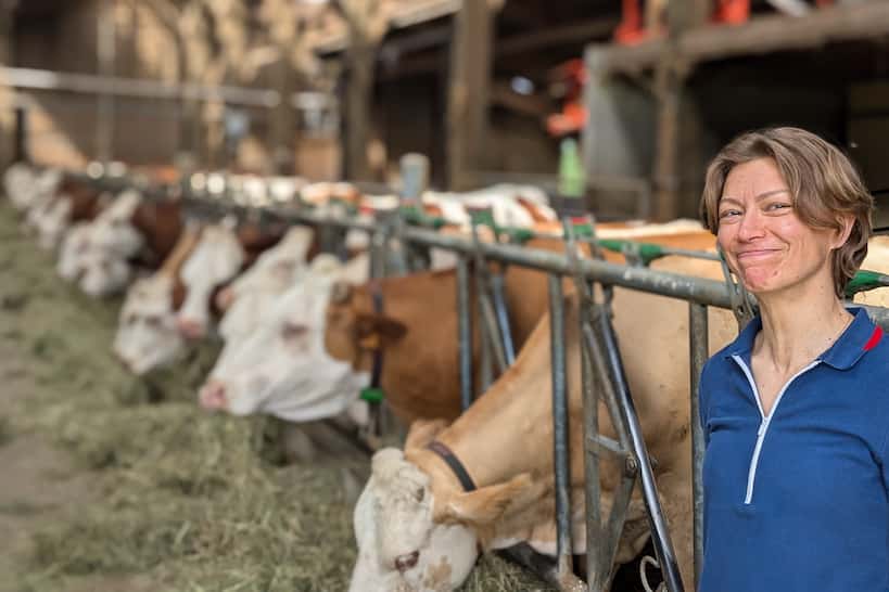 Dairy Farm Visits by Authentic Food Quest
