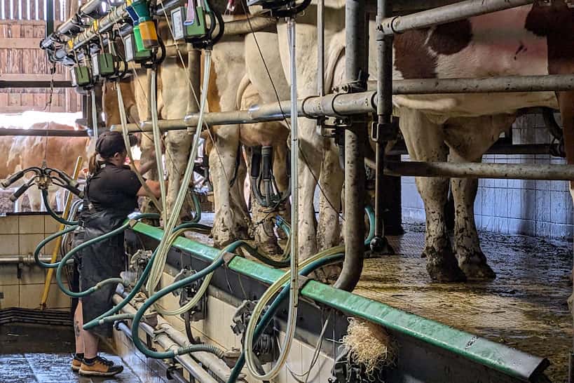 La Combe du Val Farm by Authentic Food Quest