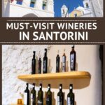 Pinterest Authentic Food Quest Top Wine Tasting Tours Santorini