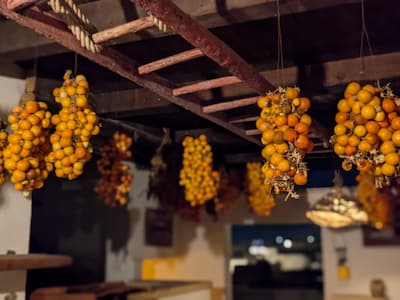 Tomatoes hanging at the masseria for the cooking vacations in Puglia with Authentic Food Quest