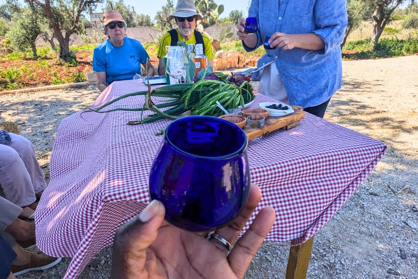 Best Olive Oil in Puglia by Authentic Food Quest