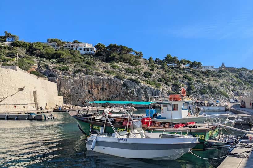 Coastal Beauty by Authentic Food Quest