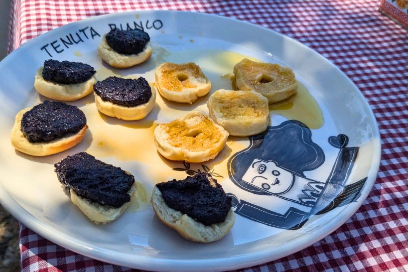 Olive Oil Tour Italy by Authentic Food Quest