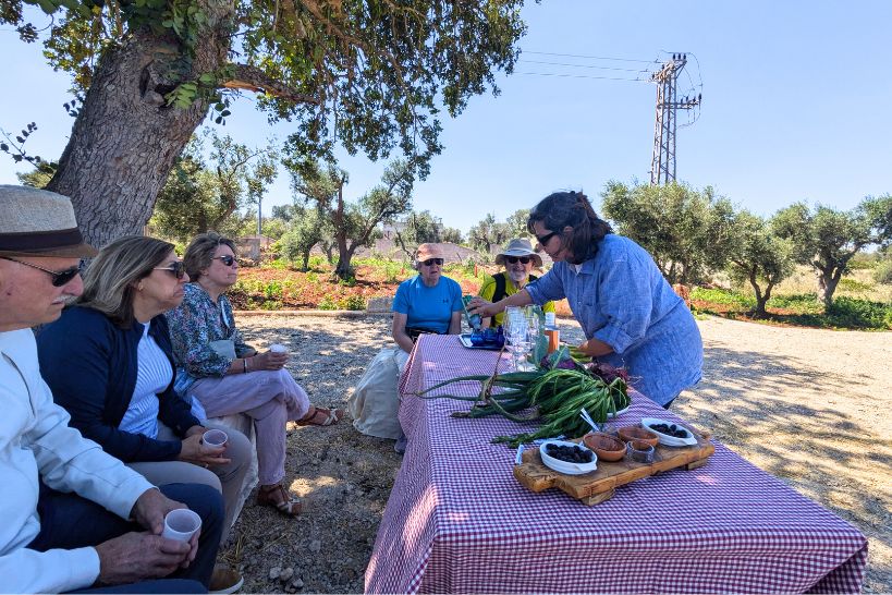 Olive Oil Tour Puglia by Authentic Food Quest
