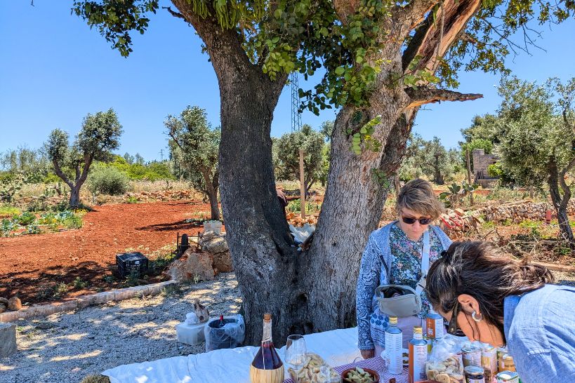 Puglia Olive Oil Farm Visit by Authentic Food Quest