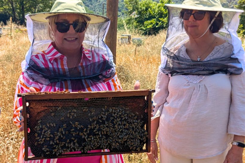 Visit Bee Boxes by Authentic Food Quest